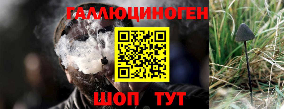 Галлюциногенные грибы мухоморы Шатура